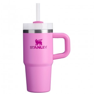 Stanley The Quencher H2.O FlowState™ Tumbler with Handle & Straw | 14 OZ Peony | VR9284160