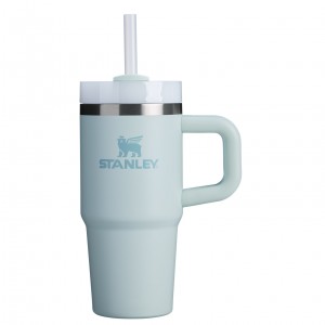 Stanley The Quencher H2.O FlowState™ Tumbler with Handle & Straw | 14 OZ Mist | AQ9587206