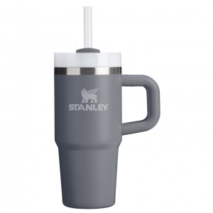 Stanley The Quencher H2.O FlowState™ Tumbler with Handle & Straw | 14 OZ Stone | AJ0438756