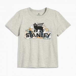 Stanley The Thirsty Women's Boxy Tee Grey Heather | GT6310758