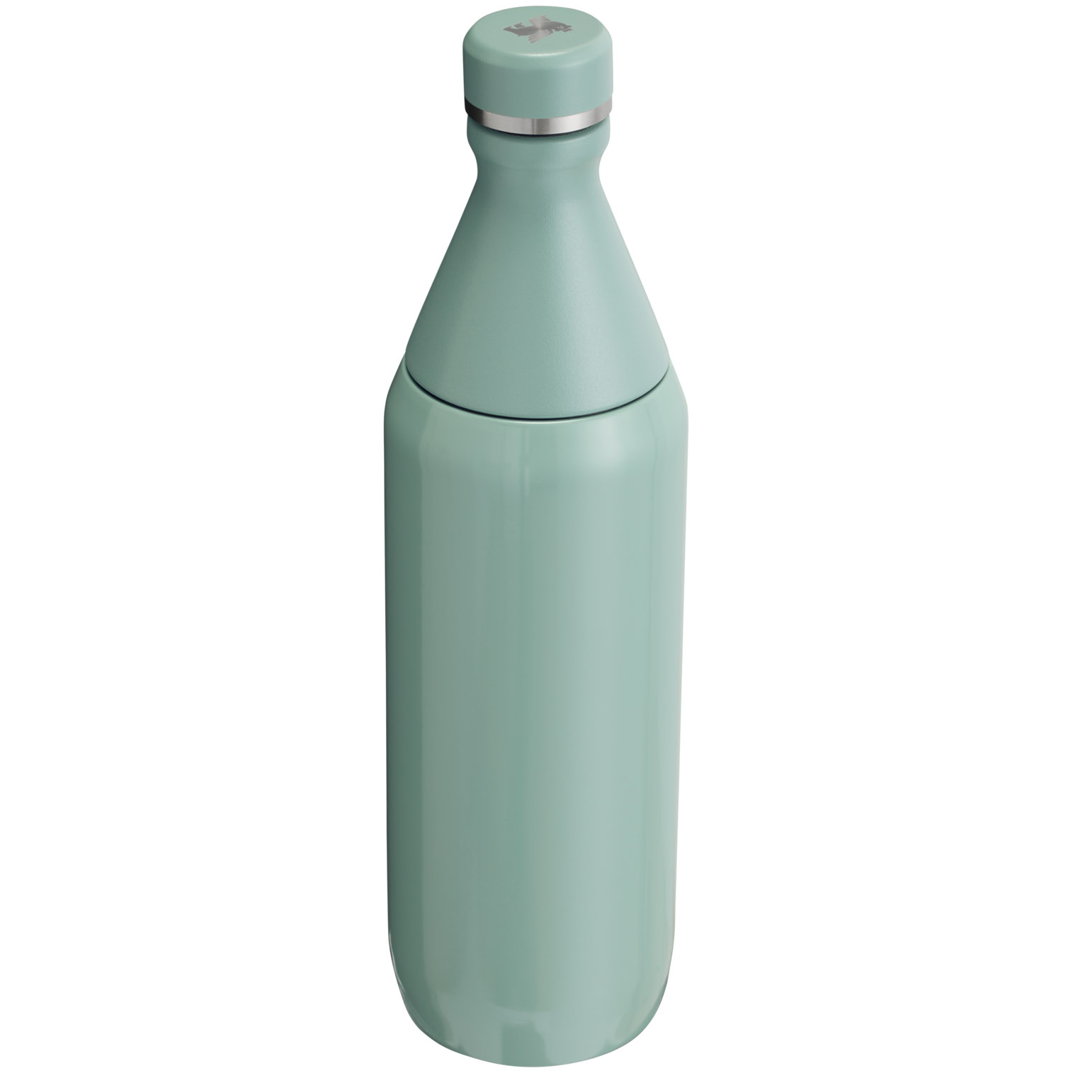 Stanley All Day Slim Bottle | 20 OZ Shale Gloss | SN6729345