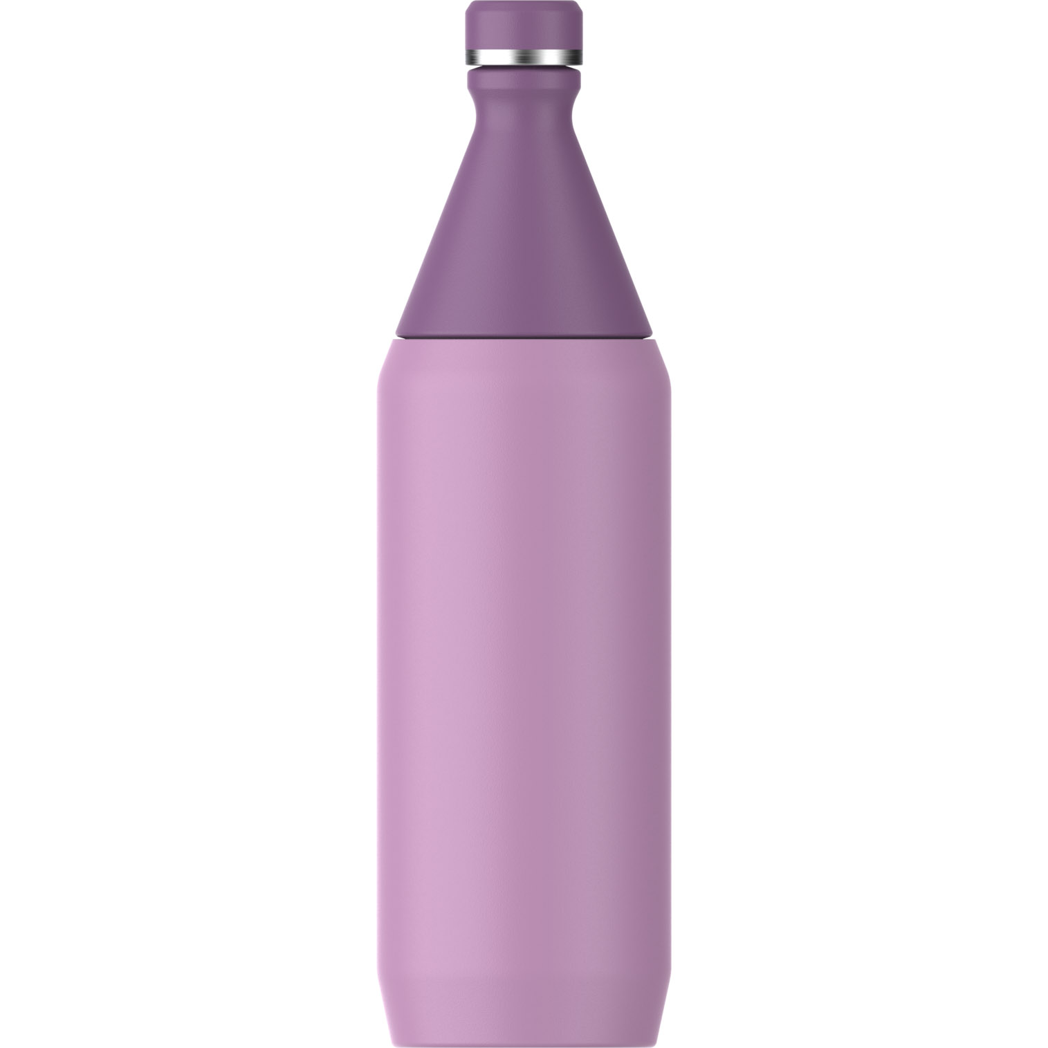 Stanley All Day Slim Bottle | 34 OZ Lilac | MT6039528