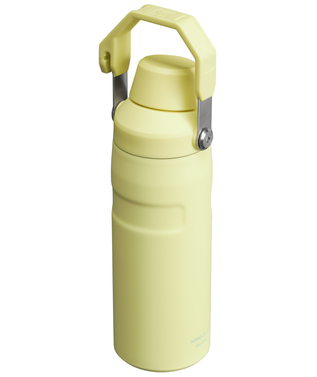 Stanley IceFlow™ Bottle with Fast Flow Lid | 16 OZ Pomelo | XQ5032741