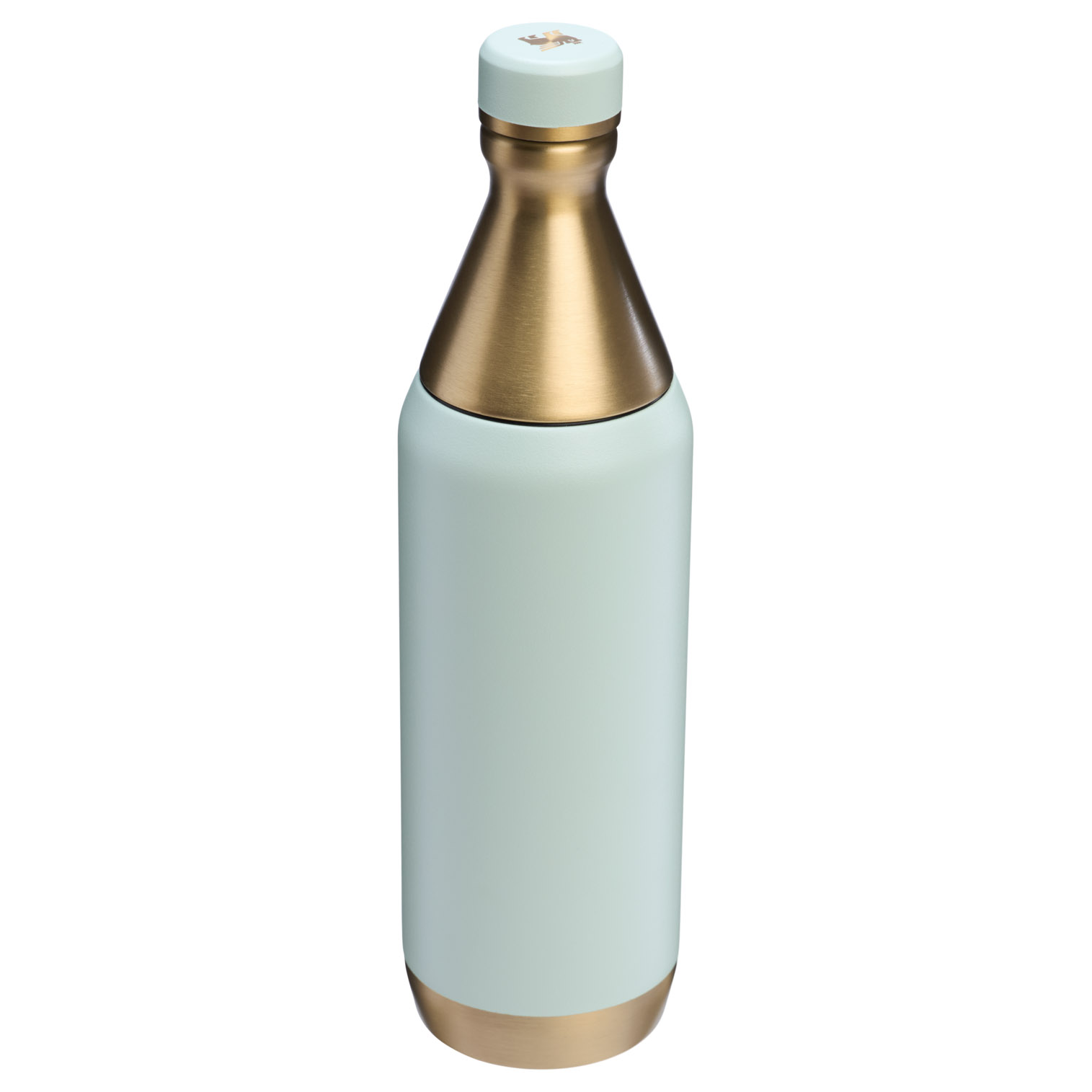 Stanley The Holiday All Day Slim Bottle | 20 OZ Gilded Celadon | XW9670821