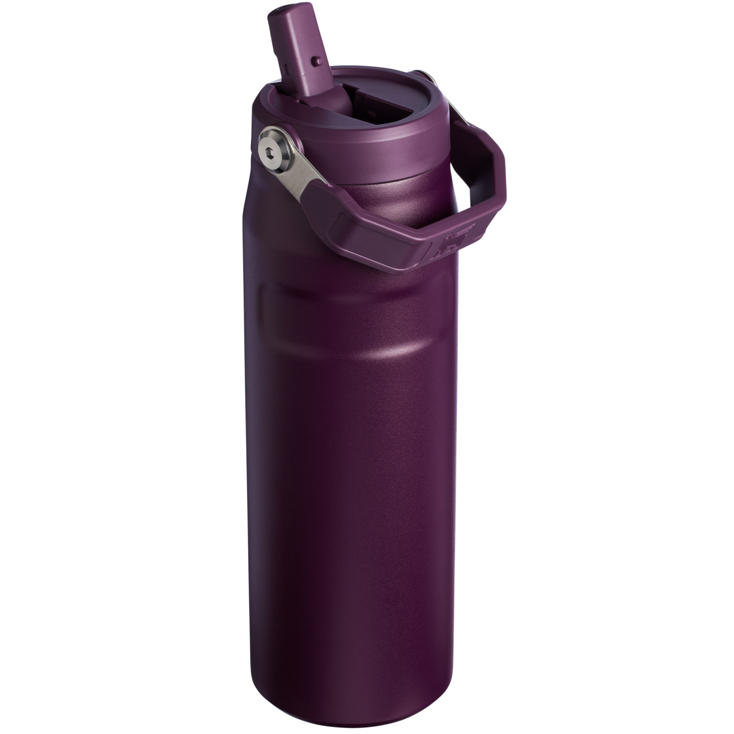 Stanley The IceFlow™ Bottle with Flip Straw Lid | 24 OZ Plum | DA3510876