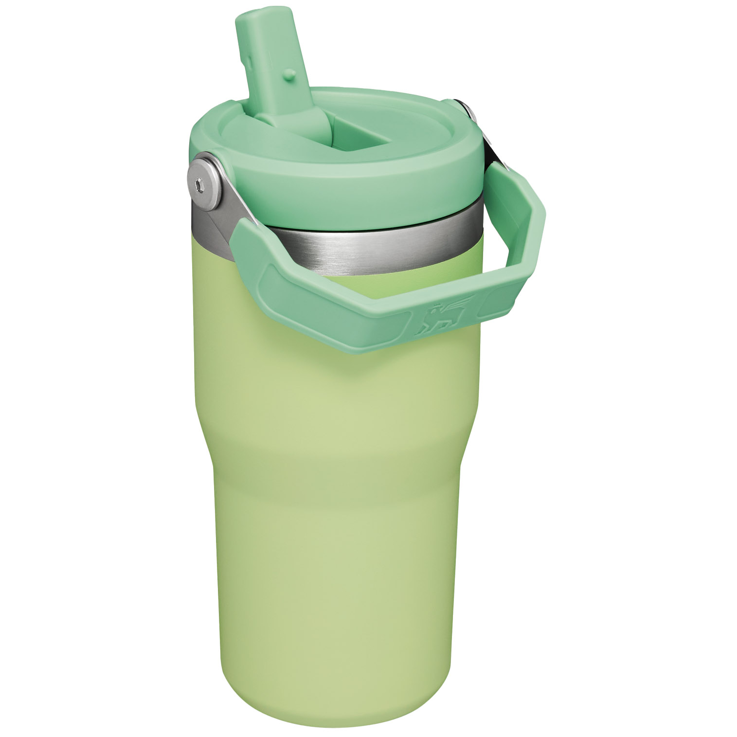 Stanley The IceFlow Flip Straw Tumbler | 20 OZ | Insulated Water Bottle Citron | WM7615428