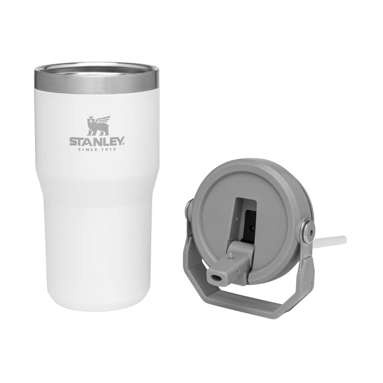 Stanley The IceFlow Flip Straw Tumbler | 20 OZ | Insulated Water Bottle Polar | BP6497185